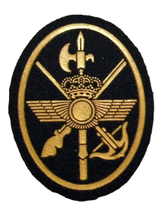 Parche de Boina de la Policía Aérea del "ACAR" del...