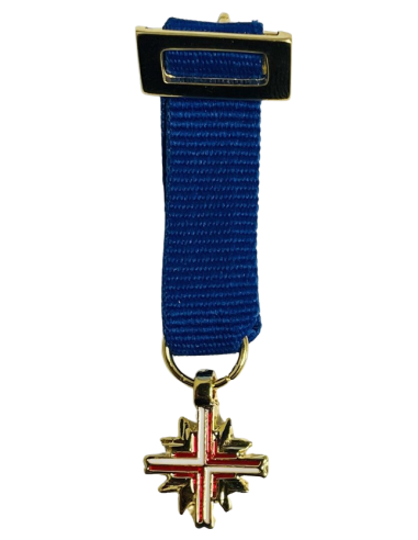 Conjunto completo Medalla Excombatiente Europeo