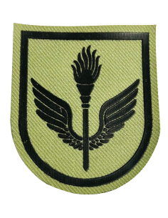 Parche de brazo Brigada Logística Valencia Verde