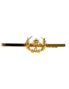 Pisacorbata Intendencia