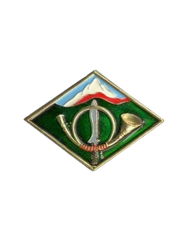Distintivo Permanencia de Escuela Militar de Montaña y Operaciones Especiales