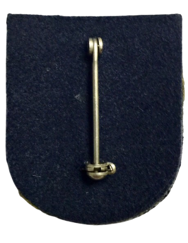 Distintivo con laña academia de policía Avila