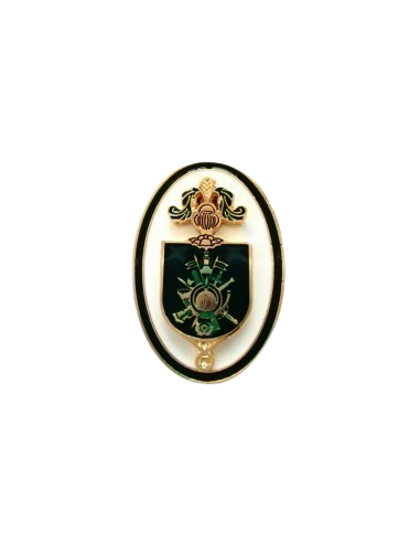 Distintivo de Alumno Academia General Militar Verde Zaragoza