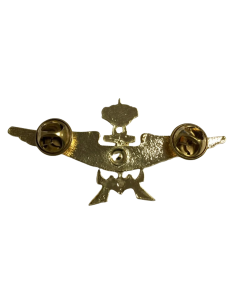 Distintivo del curso de nadador de rescate 2