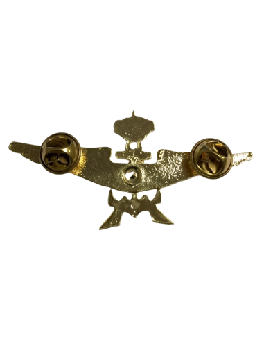 Distintivo del curso de nadador de rescate