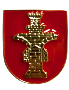 Distintivo Especialidad Fundamental de Construcción...