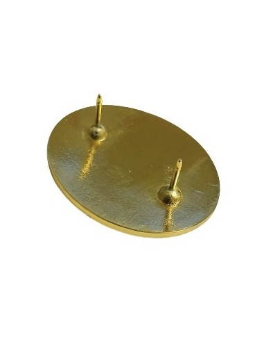 Distintivo de Función en la Comisaria especial...