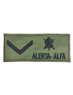 Galletas Identificativas Bordadas de la Academia Central...