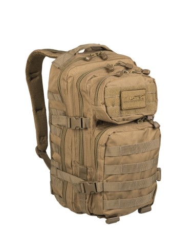 Mochila Mil-Tec Assault 20L