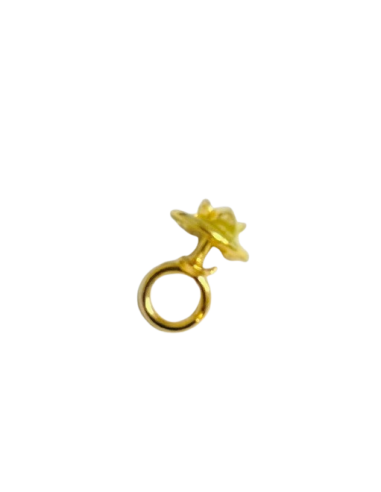 Gancho tipo Chupete para enganche de Placas a...