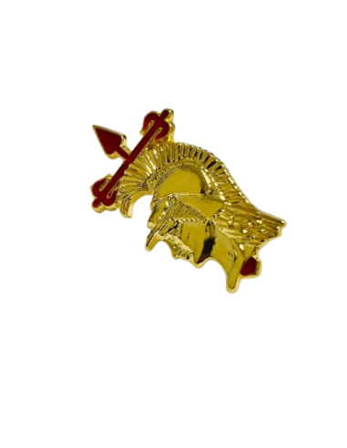 Emblema de Boina Academia Básica Suboficiales...