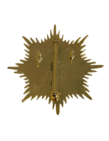 Gran Placa Doctor en Psicología