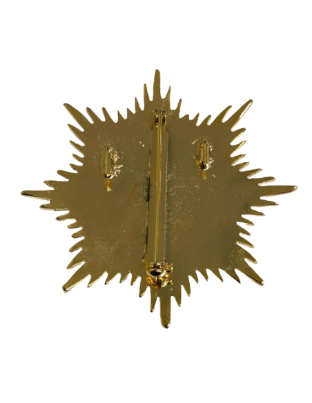 Gran Placa Doctor en Psicología