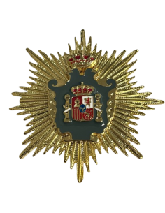 Gran Placa Doctor Ciencias de la Información y Periodismo