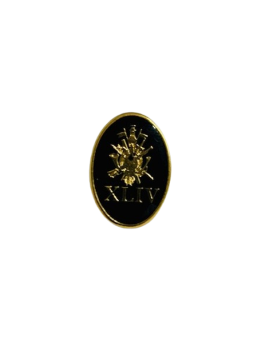 Pin o Distintivo Personalizado