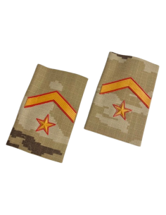 Manguitos Áridos Pixelados PVC color Ejército de Tierra... 2