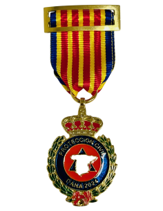 Medalla Reconocimiento Protección Civil Dana 2024