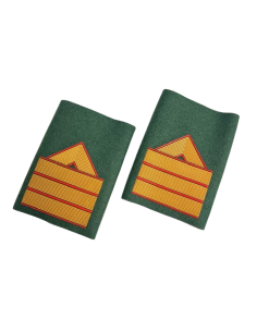 Manguitos verde Guardia Civil (PAR) 2