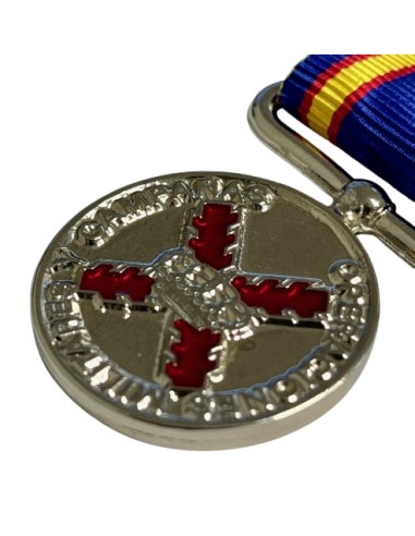 Medalla de Campaña Militar 2018