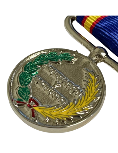 Medalla de Campaña Militar 2018