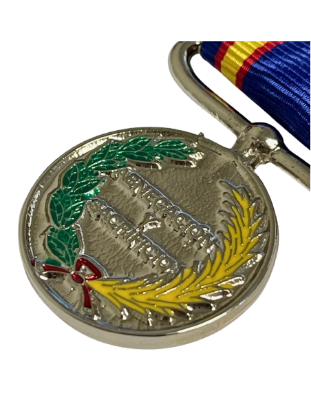 Medalla de Campaña Militar 2018