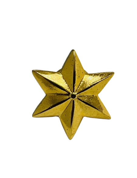 Estrella de 6 Puntas Ejército del Aire - UNIDAD