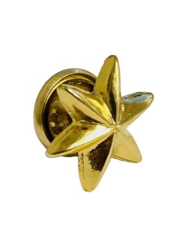 Estrella de 6 Puntas Ejército del Aire - UNIDAD