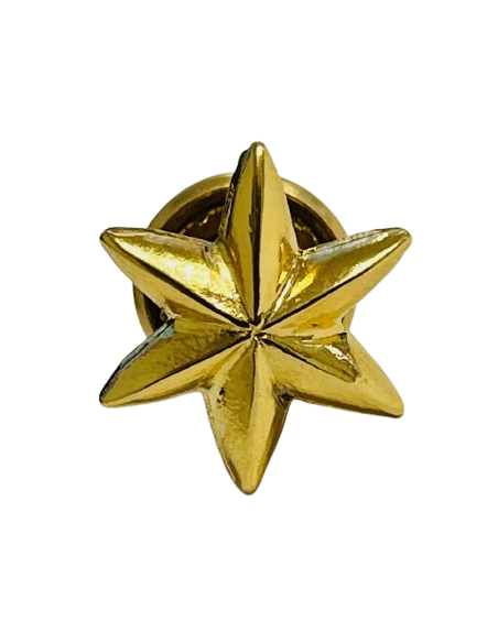 Estrella de 6 Puntas Ejército del Aire - UNIDAD