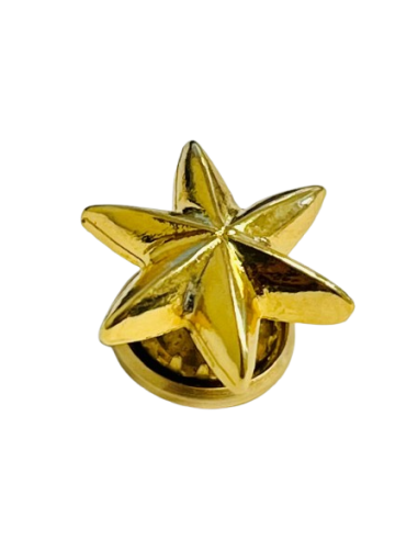 Estrella de 6 Puntas Ejército del Aire - UNIDAD