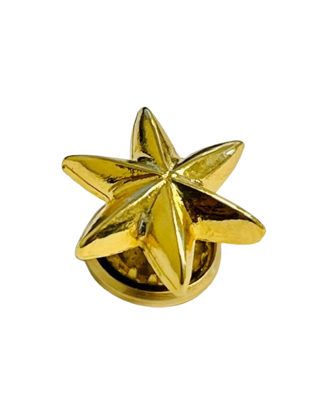 Estrella de 6 Puntas Ejército del Aire - UNIDAD