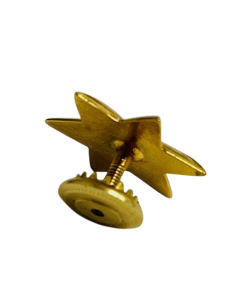 Estrella de 6 Puntas Ejército del Aire - UNIDAD 2