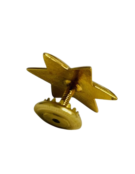 Estrella de 6 Puntas Ejército del Aire - UNIDAD