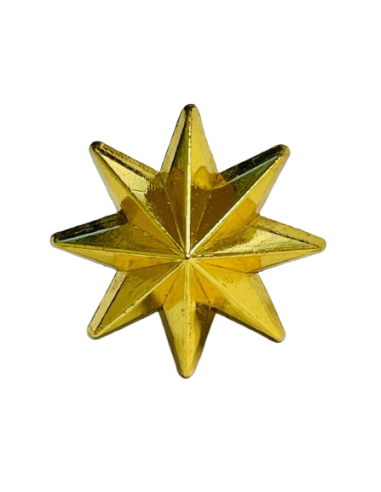 Estrella de 8 Puntas Ejército de Tierra - UNIDAD