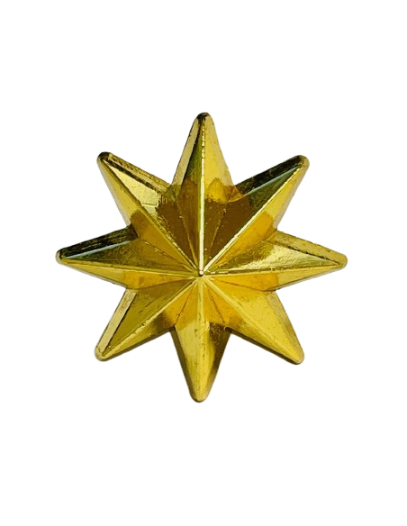 Estrella de 8 Puntas Ejército de Tierra - UNIDAD
