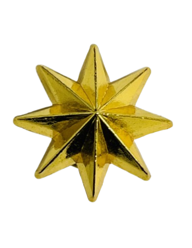 Estrella de 8 Puntas Ejército de Tierra - UNIDAD