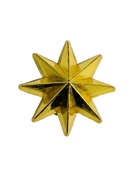 Estrella de 8 Puntas Ejército de Tierra - UNIDAD