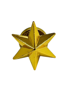 Estrella de 6 Puntas Ejército de Tierra - UNIDAD