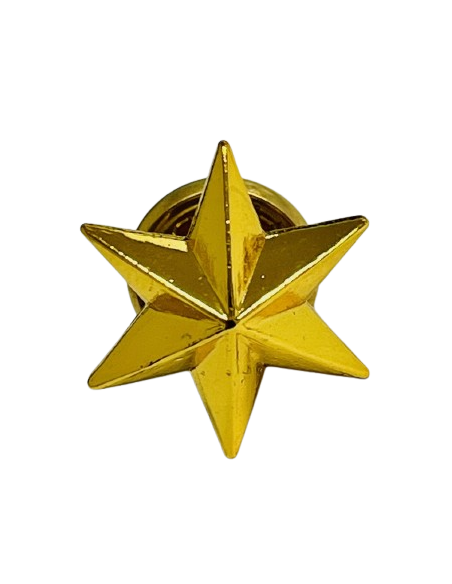 Estrella de 6 Puntas Ejército de Tierra - UNIDAD