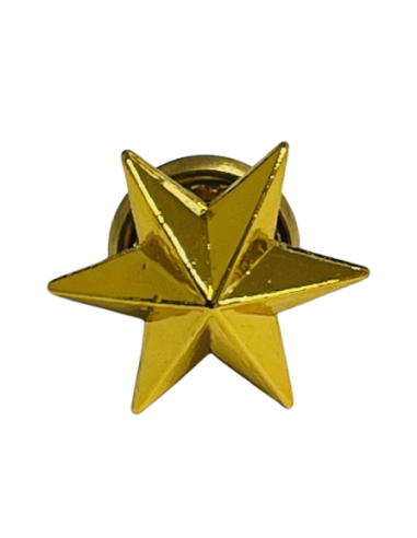 Estrella de 6 Puntas Ejército de Tierra - UNIDAD