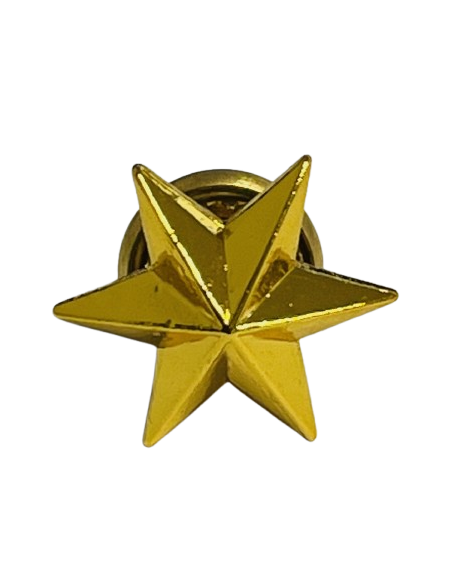 Estrella de 6 Puntas Ejército de Tierra - UNIDAD