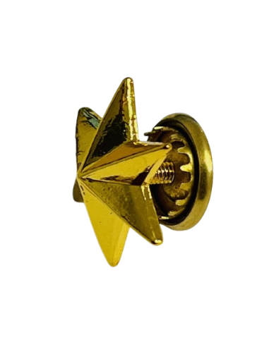 Estrella de 6 Puntas Ejército de Tierra - UNIDAD