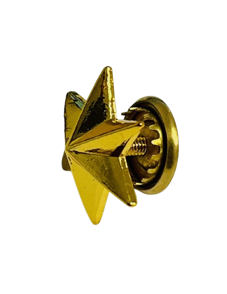 Estrella de 6 Puntas Ejército de Tierra - UNIDAD