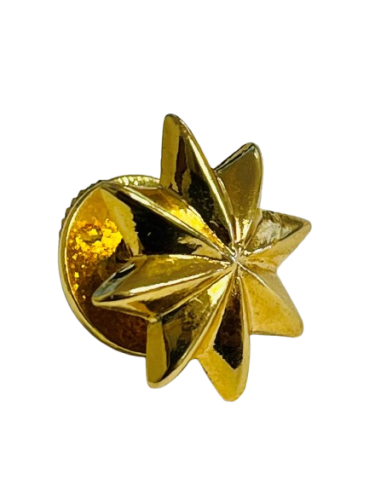 Estrella de 8 Puntas Ejército del Aire - UNIDAD