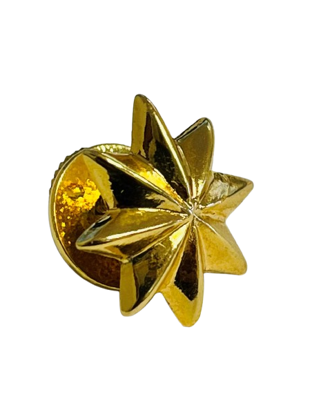 Estrella de 8 Puntas Ejército del Aire - UNIDAD