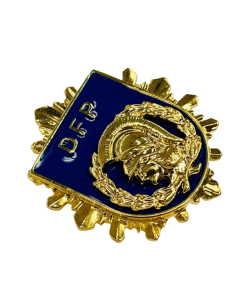 Distintivo de Permanencia de la División de Formación y... 2