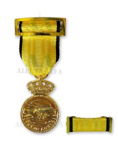 Medalla Conmemorativa Dana 2024 + Pasador de diario