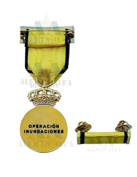 Medalla Conmemorativa Dana 2024 + Pasador de diario