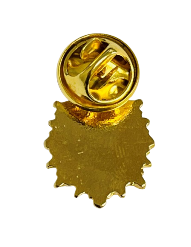 Pin Policia Nacional (Actual)