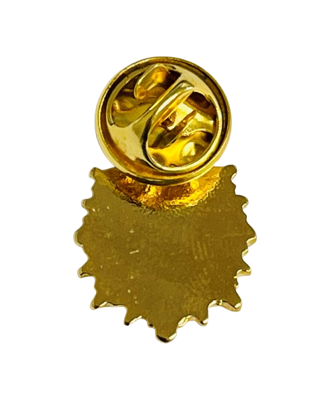 Pin Policia Nacional (Actual)