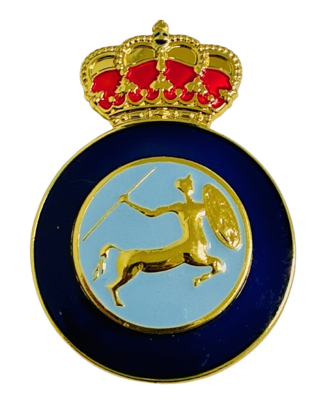 Distintivo de Instructor de Equitación